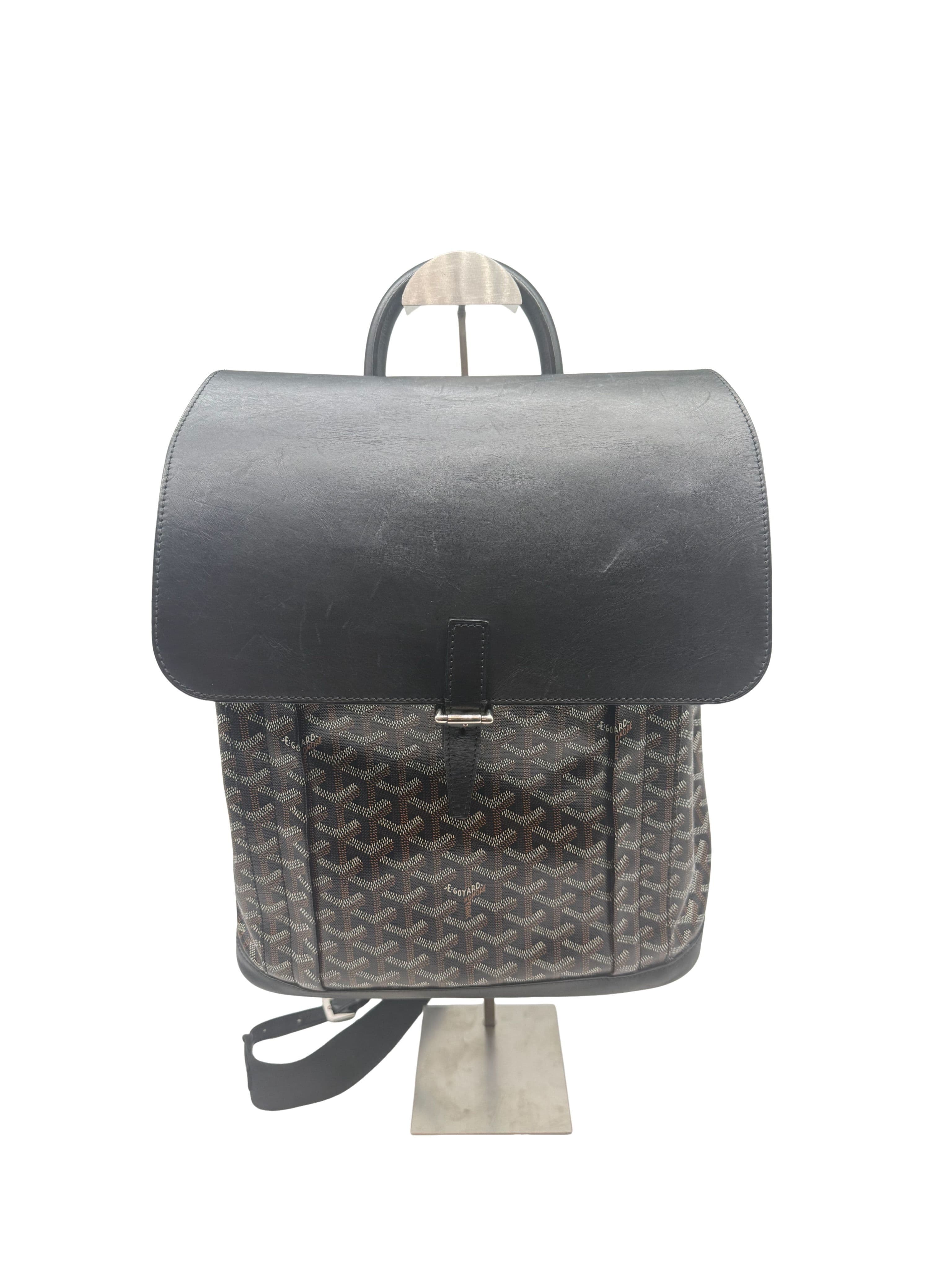 Goyard Alpin MM backpack