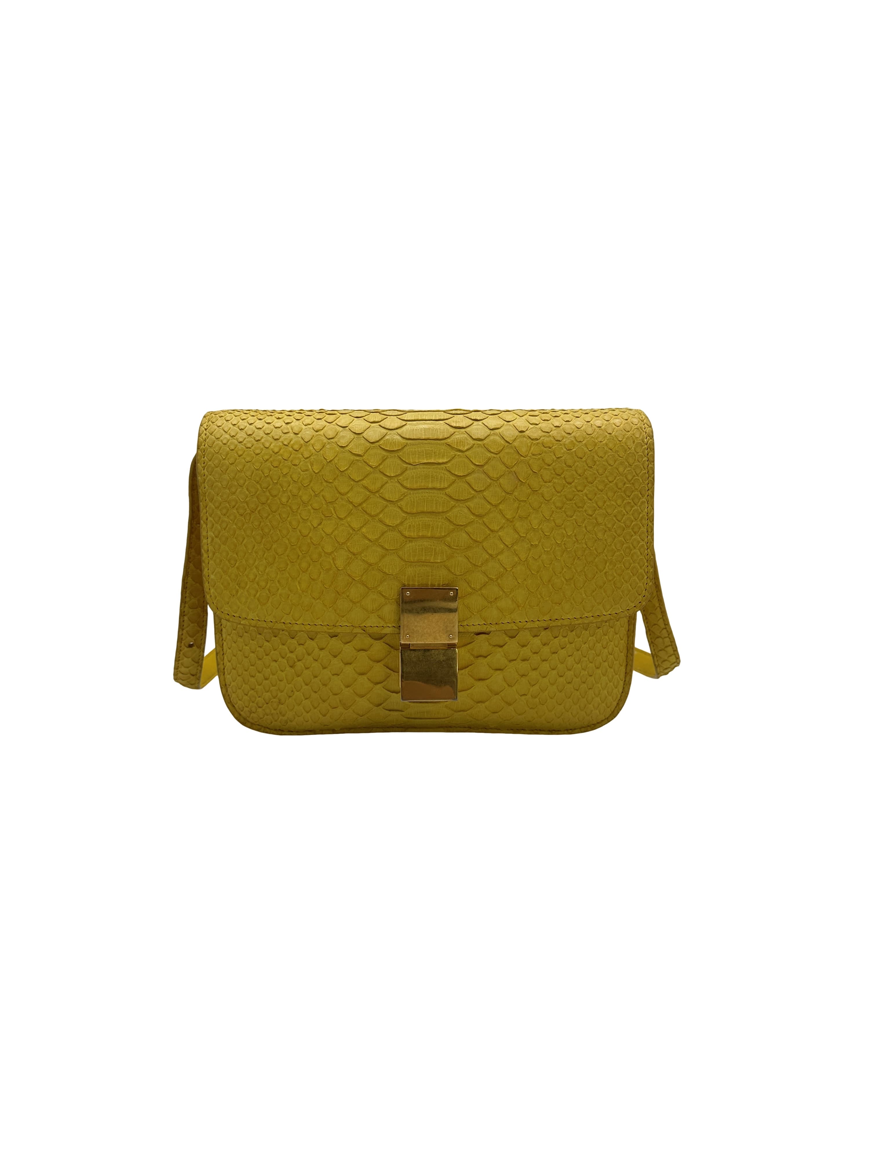 Celine Python Leather Medium Classic Box Bag